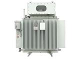 Petrochemical special distribution transformer